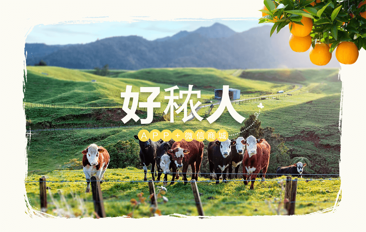 成都微信开发